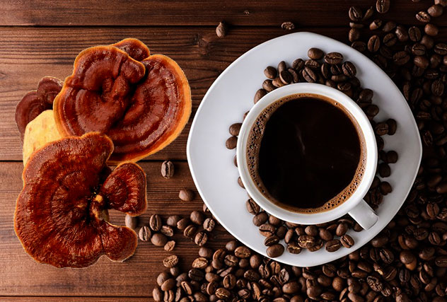 خواص قهوه گانودرما برای زود انزالی